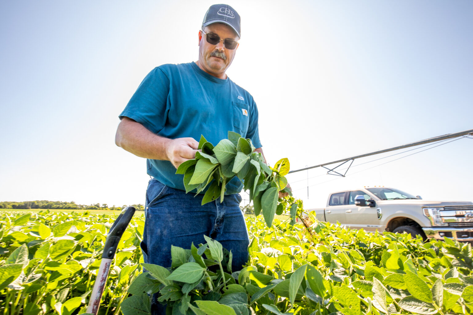 CHS Made in Minnesota